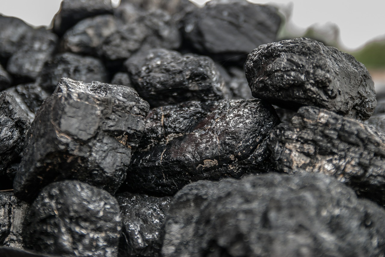 Węgiel, pellet, ekogroszek – jaki opał wybrać?