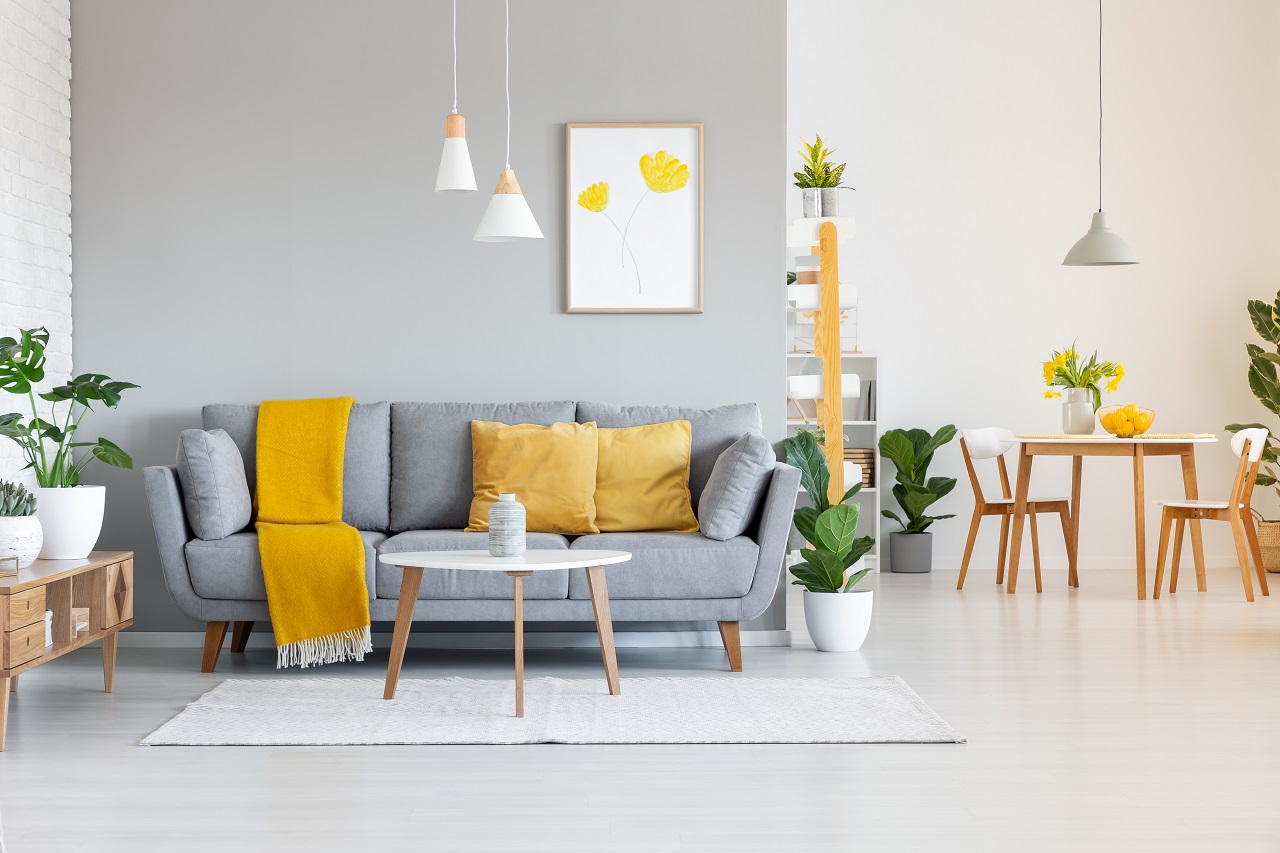 Meble tapicerowane – jak wybrać idealne do nowego mieszkania?